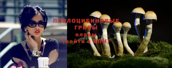 мет Аркадак