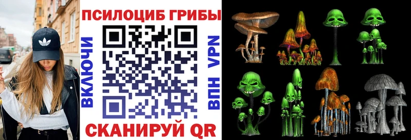 Галлюциногенные грибы Magic Shrooms  Спас-Деменск 
